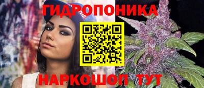хмурый Жуковский