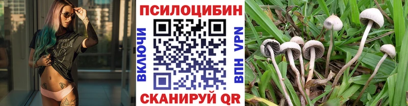 Галлюциногенные грибы прущие грибы  Осинники 