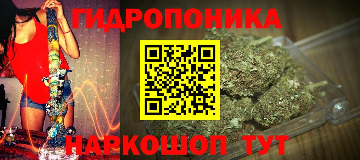 Бошки Шишки гибрид  Конопля тримм  Осинники  Вход с VPN  МАРИХУАНА конопля 
